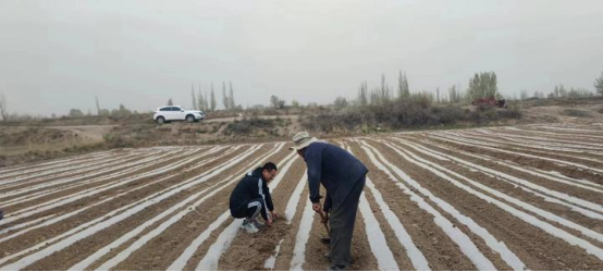 3044am����(�й�)���Źٷ���վ