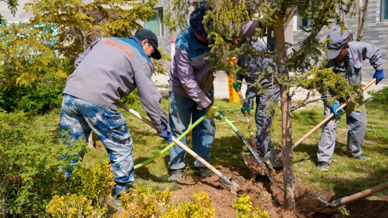 3044am����(�й�)���Źٷ���վ