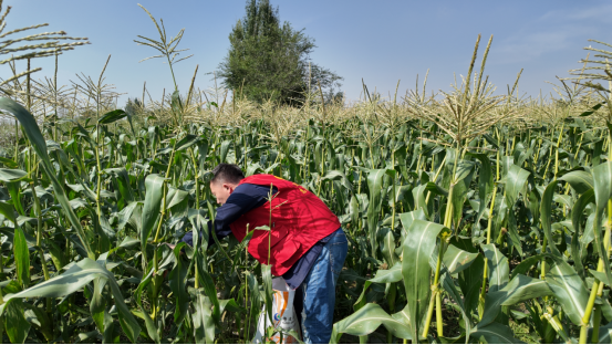 3044am����(�й�)���Źٷ���վ