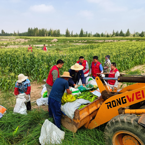 3044am����(�й�)���Źٷ���վ